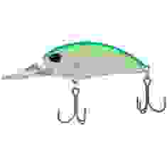 Lure DUO Realis Crank M65 11A 65mm 16.0g CCC3180 Citrus Shad