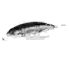 Lure OSP RUDRA 130 SP RP-58