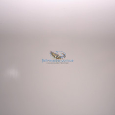 Mormyshka tungsten Winter Star maggot Н6,0mm / 0,20gr. hook number 18 color: gold